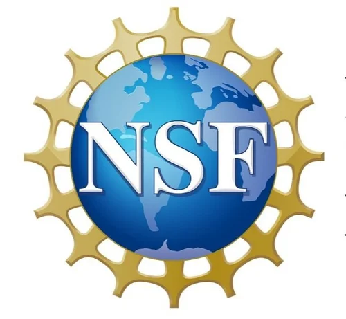 nsf